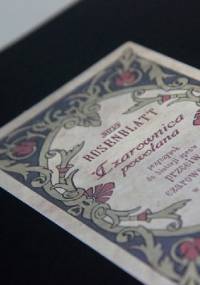 Czarownica powołana. Przyczynek do historji spraw przeciw czarownicom w Polsce - Józef Rosenblatt