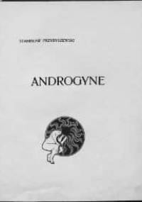 Androgyne - Stanisław Przybyszewski