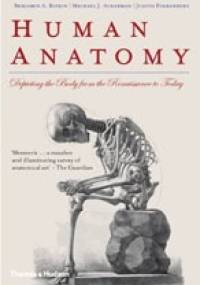 Human Anatomy