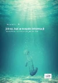 Jak szukać w oceanie informacji. Poradnik dla przedsiębiorców - Katarzyna Materska