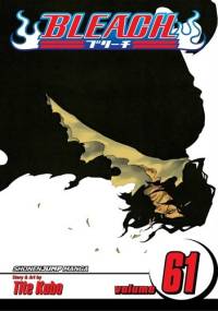 Bleach 61. THE LAST 9DAYS - Tite Kubo