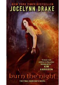 Burn the Night - Jocelynn Drake
