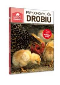 Przydomowy chów drobiu - Alice Stern
