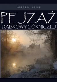 Pejzaż Dąbrowy Górniczej - Andrzej Kryza