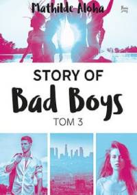 Story of Bad Boys Tom 3 - Mathilde Aloha