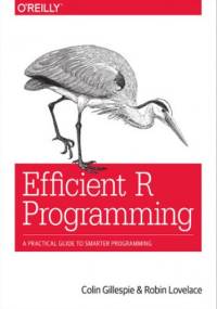 Efficient R Programming. A Practical Guide to Smarter Programming - Gillespie Colin, Lovelace Robin