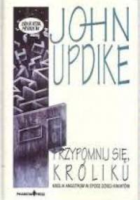 Przypomnij się, Króliku - John Updike