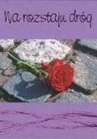 Na rozstaju dróg - Agnieszka Rudnik