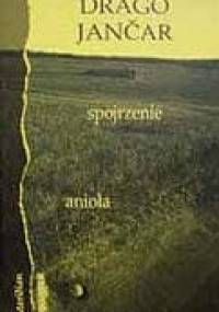 Spojrzenie anioła - Drago Jančar