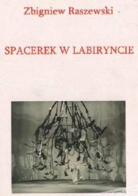 Spacerek w labiryncie - Zbigniew Raszewski