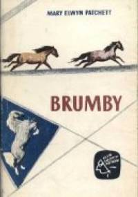 Brumby - Mary Elwyn Patchett