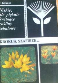Niskie, ale pięknie kwitnące rośliny cebulowe. Krokus, szafirek... - Joanna Krause