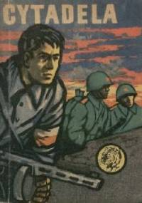 Cytadela - Michał Haykowski