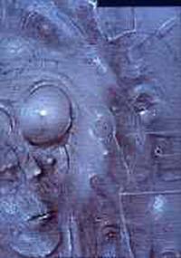 Śmierć i tekst. Sytuacja ostateczna w perspektywie słowa - Zbigniew Mikołejko