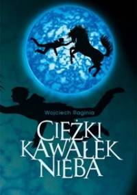 Ciężki kawałek nieba - Wojciech Raginia