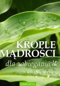 Krople mądrości dla zabieganych - L. M. Book