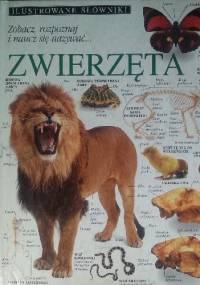 Zwierzęta - praca zbiorowa