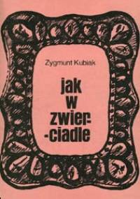 Jak w zwierciadle - Zygmunt Kubiak