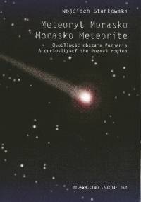 Meteoryt Morasko. Osobliwość obszaru Poznania - Wojciech Stankowski
