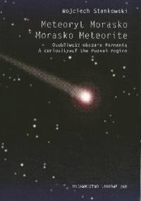 Meteoryt Morasko. Osobliwość obszaru Poznania - Wojciech Stankowski