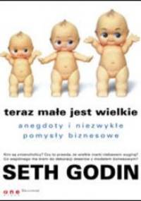 Teraz małe jest wielkie. Anegdoty i niezwykłe pomysły biznesowe - Seth Godin