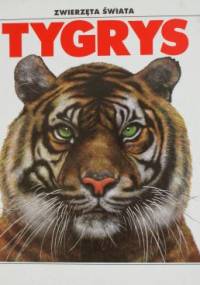 Zwierzęta świata: Tygrys - Zbigniew Płażewski
