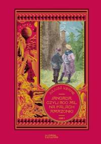 Jangada. Czyli 800 mil na falach Amazonki cz. 2 - Juliusz Verne