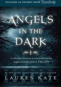 Fallen: Angels in the Dark - Lauren Kate