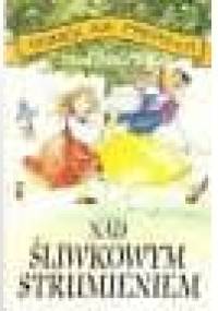 Nad Śliwkowym Strumieniem - Laura Ingalls Wilder