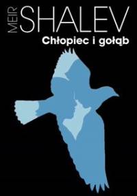 Chłopiec i gołąb - Me’ir Szalew