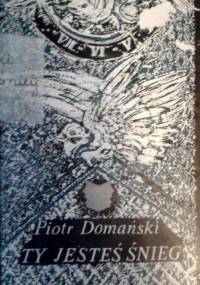 Ty jesteś śnieg - Piotr Domański