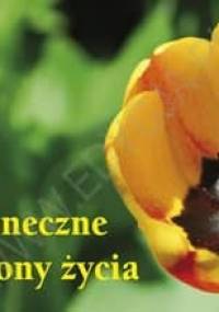 Słoneczne strony życia. Perełka 129 - praca zbiorowa