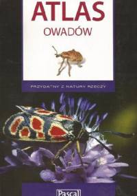Atlas owadów - Łukasz Przybyłowicz