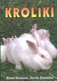 Króliki - Paweł Bielański Kowalska Dorot