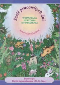 Sześć pracowitych dni - Mary Erickson