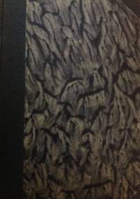 Zakopane skarby. Szkice i obrazki - Jan Zachariasiewicz, Marian Gawalewicz