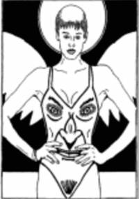 SEXLIBRIS, czyli naga prawda o meżczyznach - Andrzej Mleczko, Sylwia Paszkowska