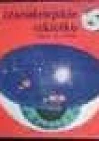 Czarodziejskie szkiełko - Marek Płużański