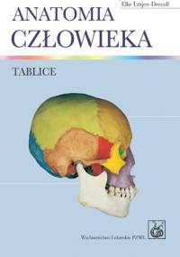 Anatomia człowieka. Tablice - Johannes W. Rohen, Elke Lutjen-Drecoll