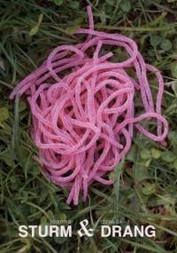 Sturm & Drang - Joanna Dziwak