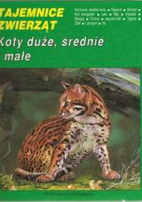 Koty duże, średnie i małe - Tomasz Kokurewicz