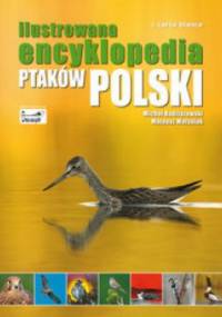 Ilustrowana encyklopedia ptaków Polski - Radziszewski Michał Matysiak Mateusz