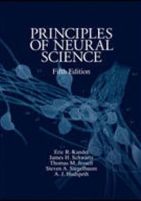 Principles of neural science