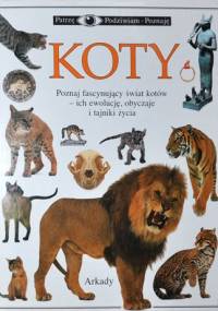 Koty - Juliet Clutton-Brock