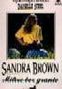 Miłość bez granic - Sandra Brown
