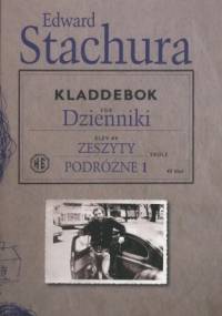 Dzienniki. Zeszyty podróżne 1 - Edward Stachura