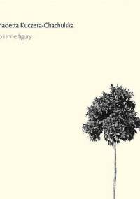 Hiob i inne figury - Bernadetta Kuczera-Chachulska