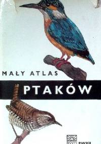 Mały atlas ptaków - Jarosław Spirhanzel-Duris