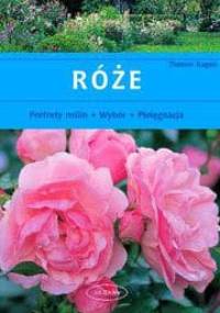 Róże - Thomas Hagen