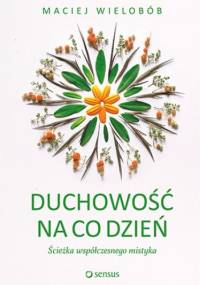 Duchowość na co dzień. Ścieżka współczesnego mistyka - Maciej Wielobób